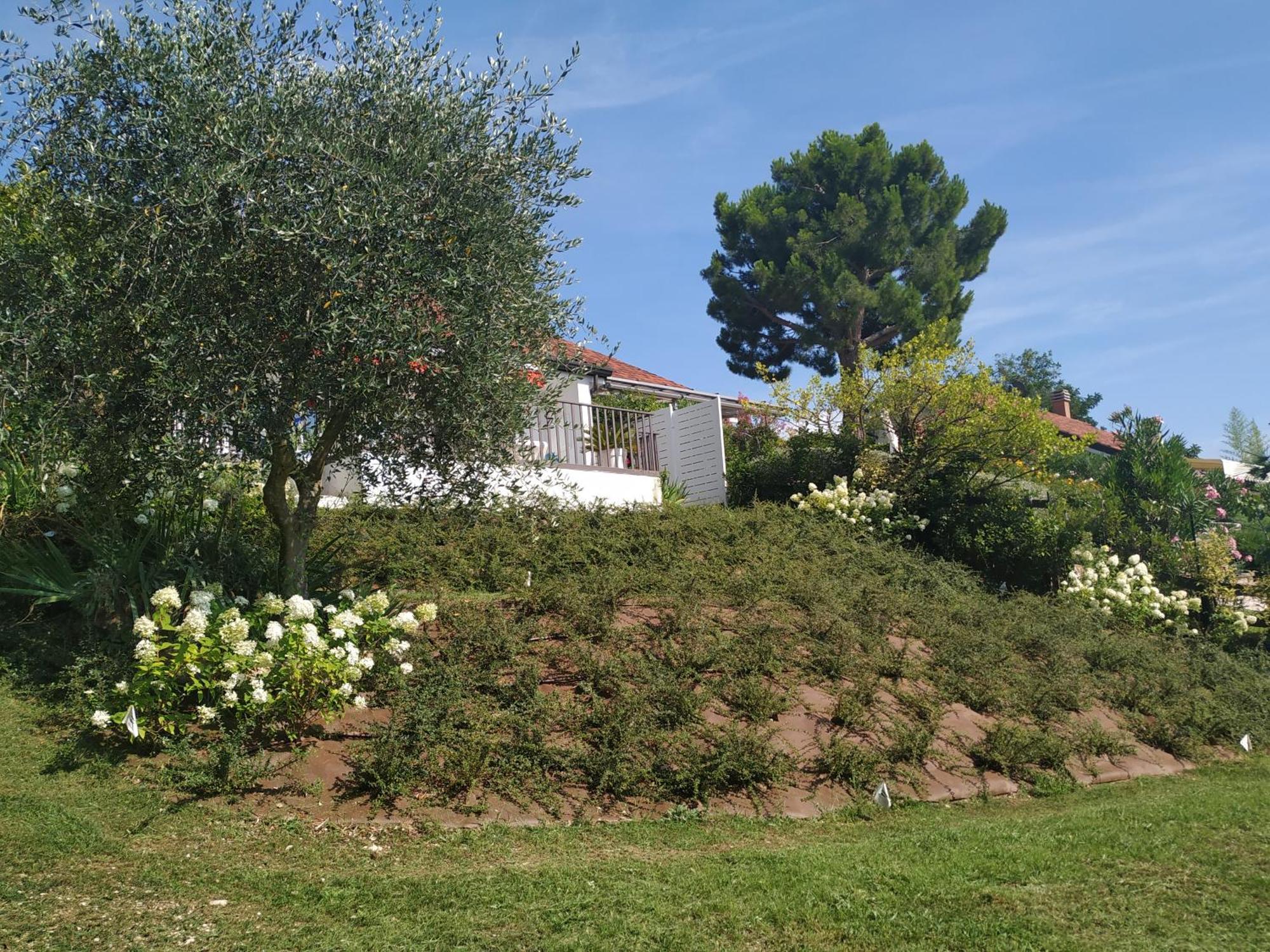 Casa Fellini San Zeno di Montagna Exterior foto